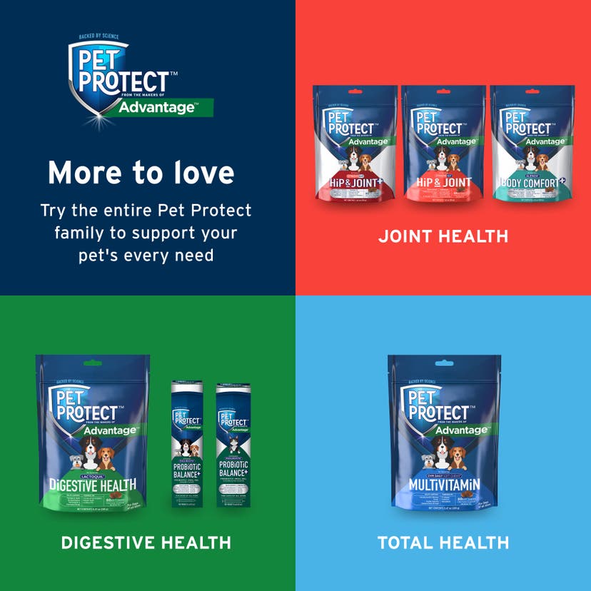 Try the entire Pet Protect lineup: joint health, digestive health, and total health support for your dog. 