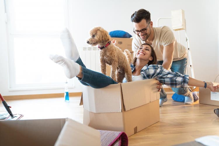 Cachorro deitado junto a casal de homem e mulher