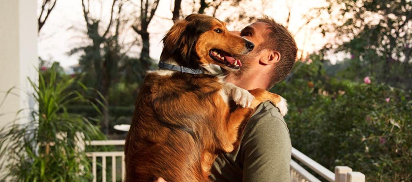 En hund, som giver sin ejer et knus