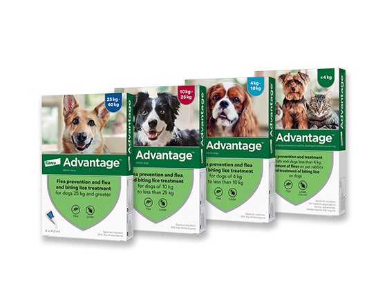 Advantage Spot On Flea Treatment for Dogs