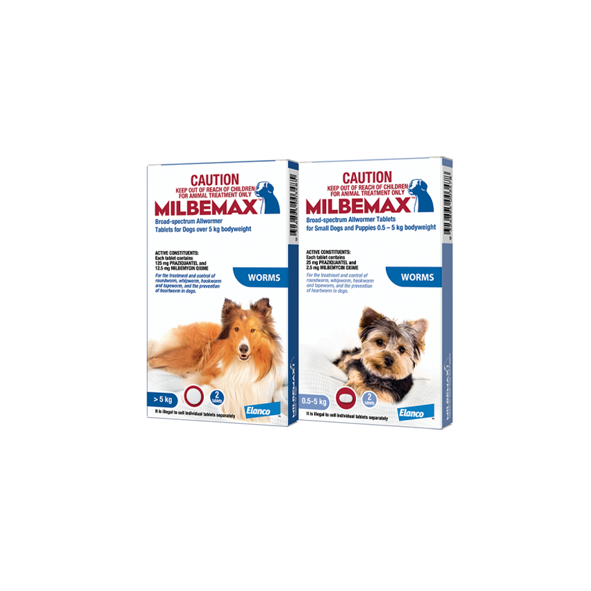 Milbemax Tab- vermifuge chien, 2 cp, >5 kg - ELANCO