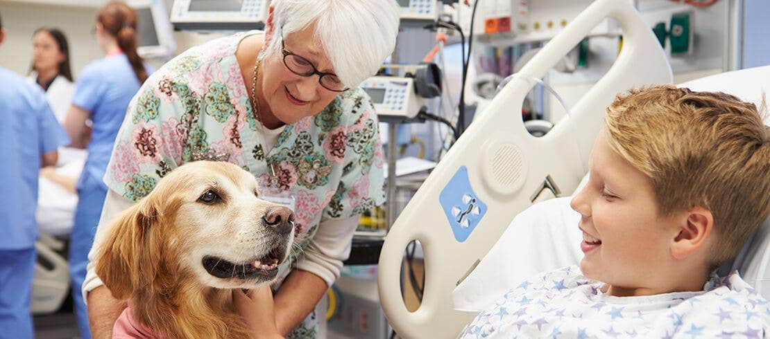 A boy in a hospital petting a therapy dog