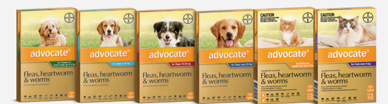 what does advocate do for dogs