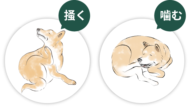 掻く・噛む