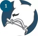 Istruzioni per l'uso del collare Seresto™ per gatti: estrarre il collare dall'involucro, rimuovere i connettori di plastica e posizionarlo intorno al collo
