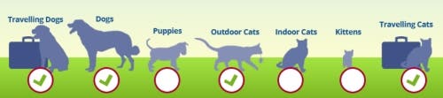 Animals at risk of hookworms