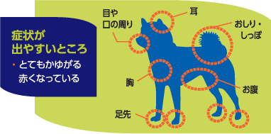 症状がでやすいところ図