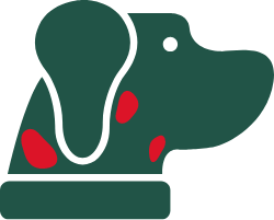 Dogs with itch often have red and inflamed skin
