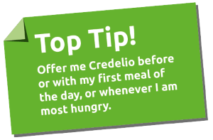 Credelio Cat top tip 1