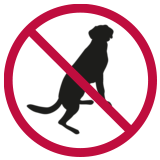 Dog showing difficulty sitting or lying down