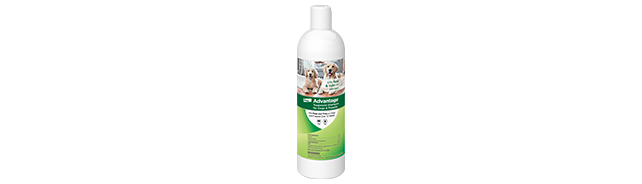 Advantage Treatment Shampoo For Dogs Bottle