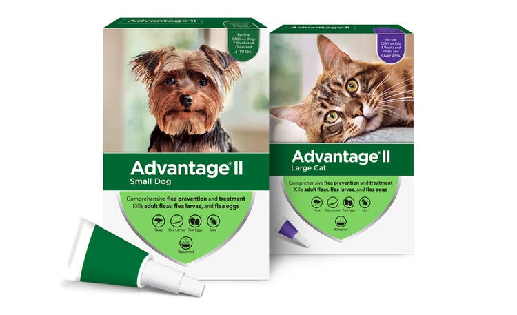 Topical Flea Advantage Ii Large Cat 12 Pack Cat Flea Medicine