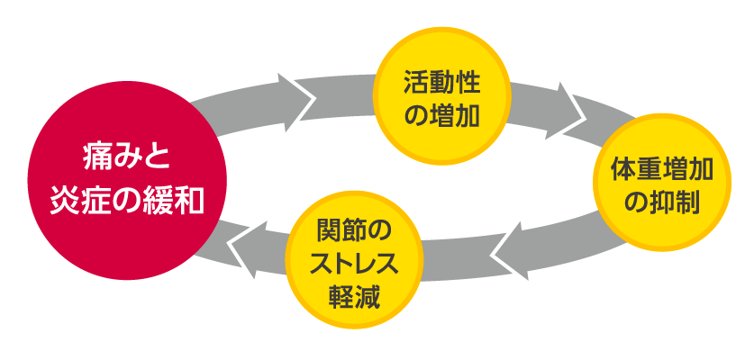 痛みと炎症の緩和
