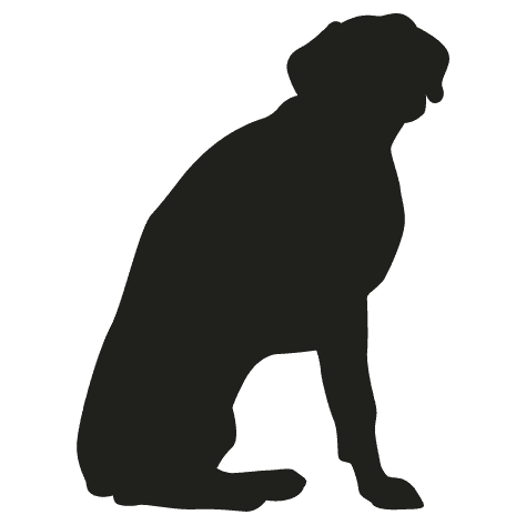 Icon of dog sitting down