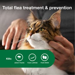 Total flea treatment and prevention for your cat with Advantage II