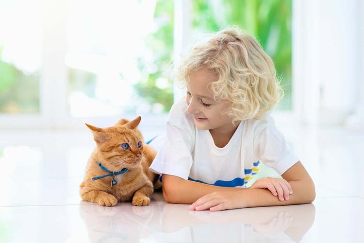 chat assis avec un enfant