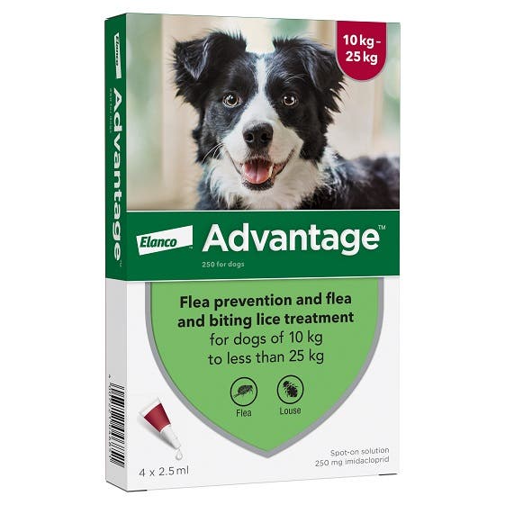 Advantage flea treatment for dogs of 10-25kg