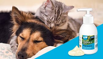dog and cat sleeping with Free form omega-3 fish oil liquid overlay 