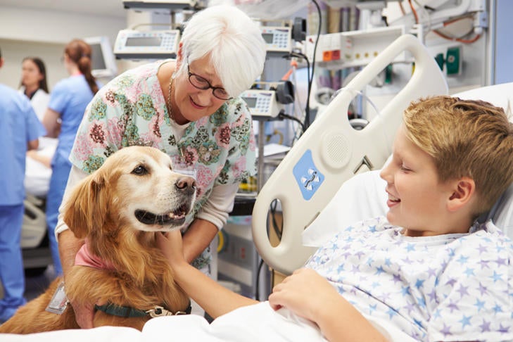 what does a therapy dog do